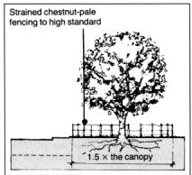 2 KEY ISSUES l Where trees are to be retained as landscape features, inspection by a qualified arboriculturalist is needed to ensure that the