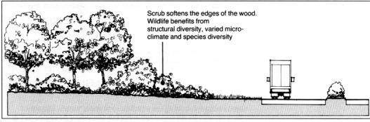 CHAPTER 8 SCRUB AND TREE GROUPS 8.