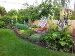 Plan the garden for spring, summer, and fall