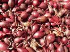 Creole (but can bolt like a hardneck) Shallots