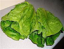 chard, spinach,