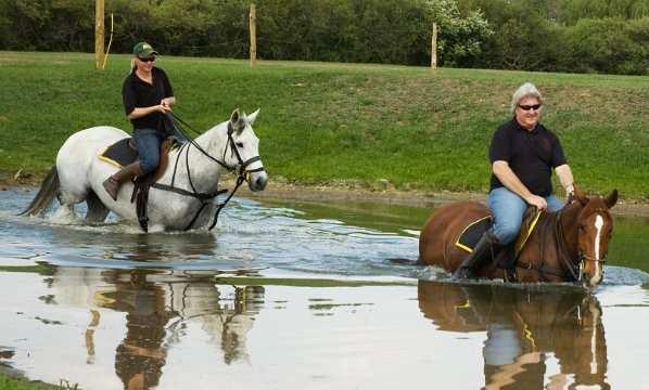 pony pool with a submerged track providing a
