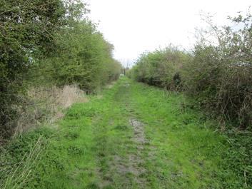 Waterbeach Greenway Option 1 Map 5.2 28. Potential route following Public footpath would need surfacing, regrading and barriers changing.