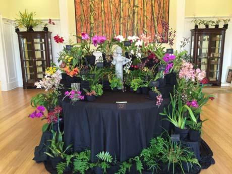 Deep South Orchid Society Newsletter April 2017 - Page 7 The Orchid Show is HERE! The 2017 Annual Orchid Show will be held at the Coastal Georgia Botanical Gardens on April 28-30, 2017.