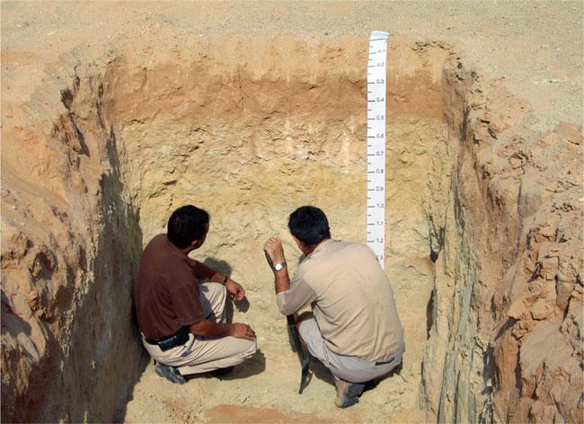 2.2 Buried Soils 7 Fig. 2.1 Soil scientists examining and describing a typical soil profile. The scientists document several soil properties and features, commonly to a depth of 2 m.