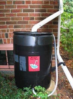 Rainwater Harvesting Rainwater harvesting systems intercept, convey and store rainfall for future use.