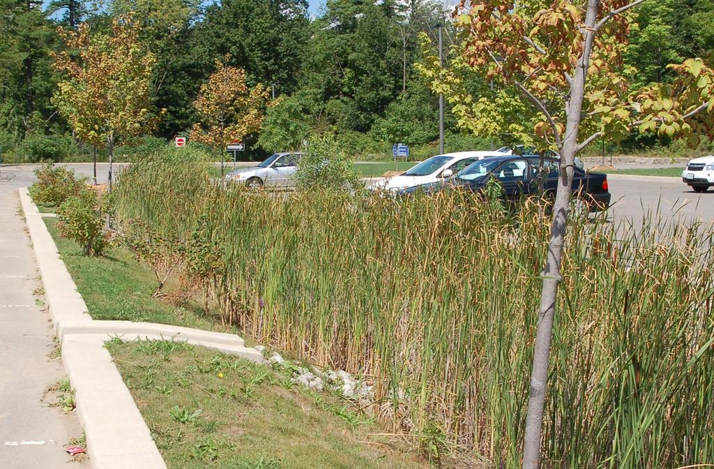 The City of Mississauga further defines such techniques as Stormwater Best Management Practices. There are several different methods that can be used.
