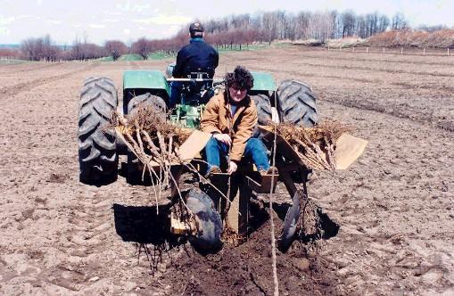 Other methods 1. Use a tree planter to cross-hatch the ground. 2. This method requires a skillful tractor operator who can drive a straight line over a large area. 3.