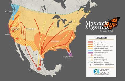 Monarch SD on migration route