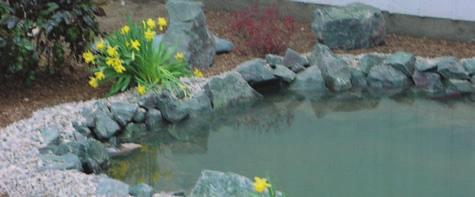 Once the large rocks are in place, cover flat ledges in small rock. Usually 1"-2" stone or "septic stone" is used for this.