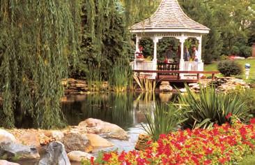 How Pond Size Affects the Design Ponds vary greatly in shape