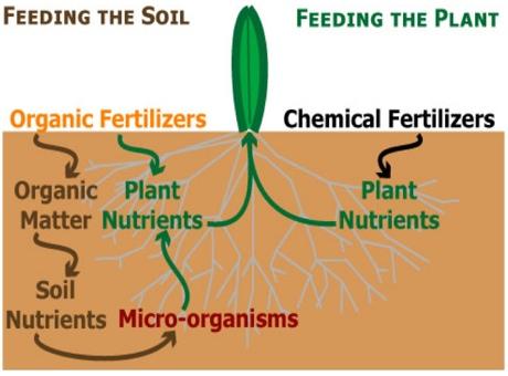Why is Organic Fertilizer Better? Non-toxic: Usage of these fertilizers ensures lawns and water are free of harmful chemicals.