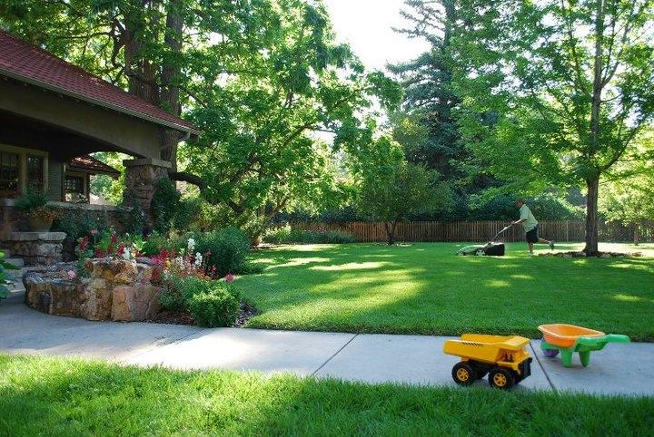 Sustainable and Organic Lawn Care is the Future... and Clean Air Lawn Care is leading the way.
