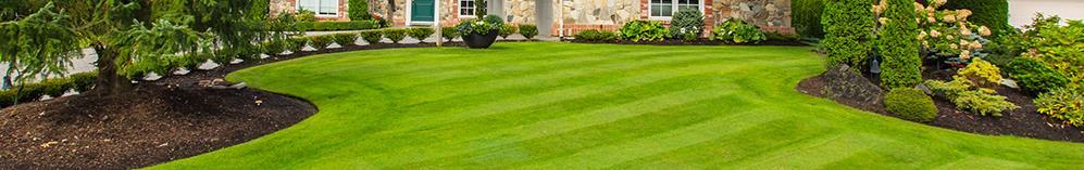 FERTILIZING YOUR LAWN In the perfect world one should fertilize according to a soil test, but the reality is that this is both time consuming and expensive.