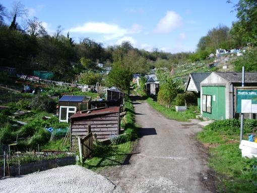 Roedale Valley Allotments, Brighton Making food visible in Brighton & Hove