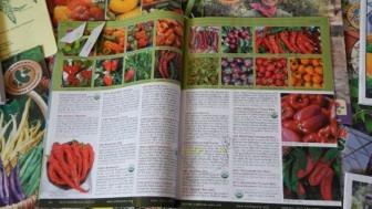 Buying seeds from Catalogs *Always buy GOOD SEED. Here are the main four I use: http://www.seedsofchange.com Rancho Dominguez, CA http://www.territorial-seed.