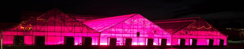 Greenhouse Structures: More than a high tunnel Steven E. Ph.D., A.A.F.