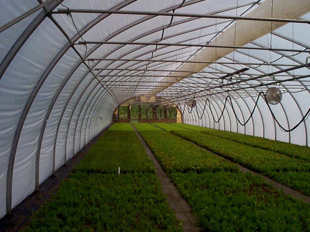 Film Plastic Greenhouses Polyethylene 6-mil exterior 4-mil interior Double layer for insulation UV