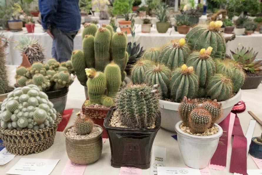Photos from Our Show 2018 Upcoming Events JUNE 2-3 SAN DIEGO CACTUS