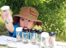 Summer/ Fall 2015 Events Trout Unlimited Family Fun Day June 6,Paulynn Park Check out the fish and bugs that live in Duffin s Creek, with the hands on Fish