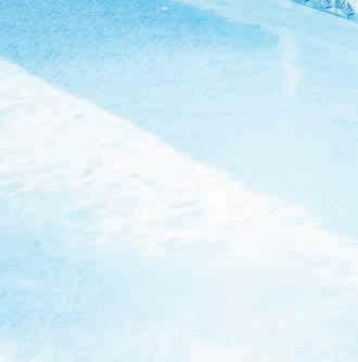 regulations, creating a safe and stylish boundary around your pool and yard.