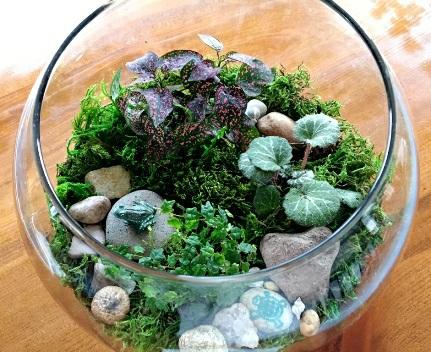 Early We are making fresh terrariums every day. They are really popular gifts this year.