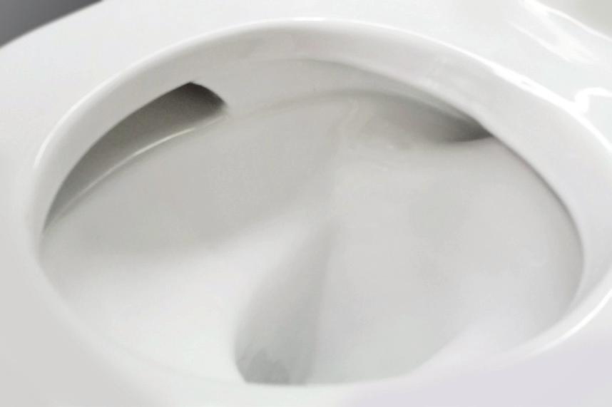 All Acacia Evolution toilets come equipped with Proguard that inhibits the build-up of water stains making