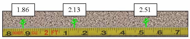Once the tape measure is placed next to the plants where data is to be taken, write down or type in data points of the location of the