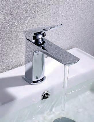 Mixer with Shower Head