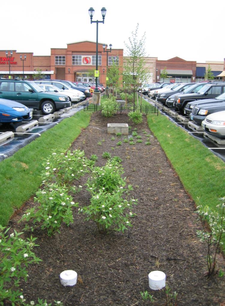 Green Infrastructure Using plants, soils and nature to manage stormwater Natural and managed green areas in both urban and rural settings Strategic connection of