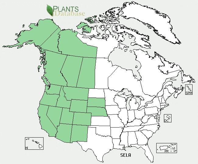 National Distribution Map (USDA Plants Database, 2008): Washington State Distribution Map (USDA Plants Database,