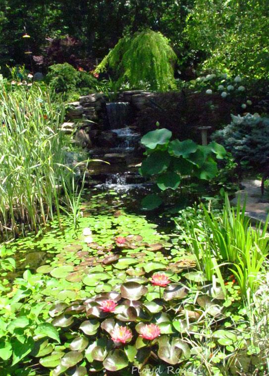 The relaxing stroll through this magnificent backyard garden culminates in a cascading waterfall that flows into the pond directly behind the house.