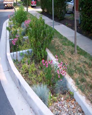 Bioswales Bioswales are storm water runoff conveyance systems that provide an alternative to storm sewers.