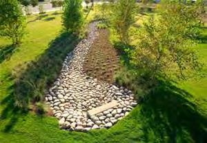 Bioswales improve water quality by infiltrating the first flush of storm water runoff and filtering the large storm flows they convey.