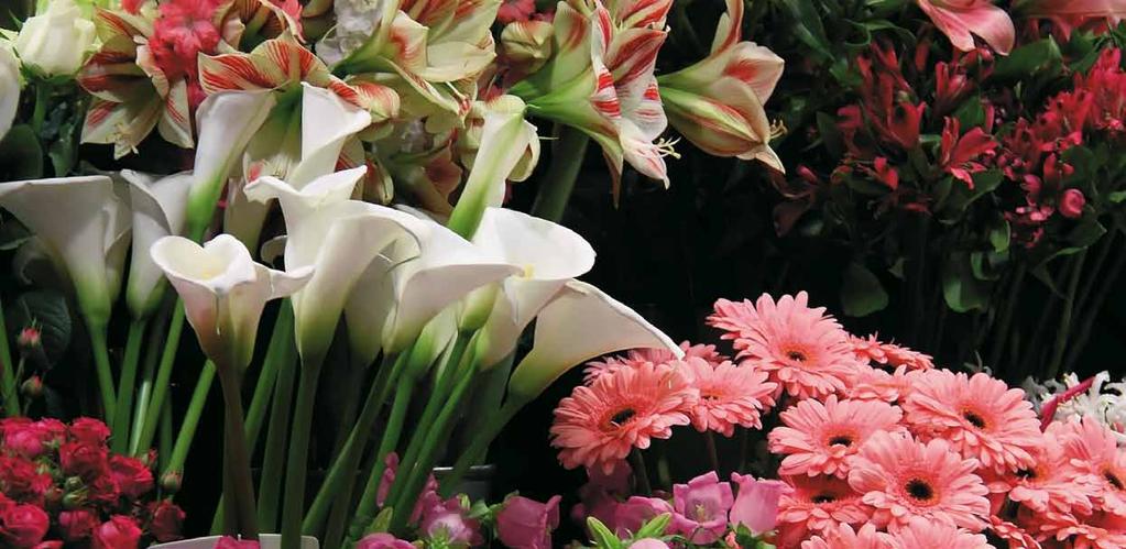 RETAILER FLORIST It is important that the flowers receive a small amount of nutrients to keep them healthy but not enough to stimulate rapid flower opening.