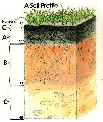 How do soils differ?