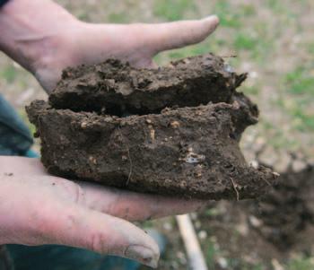 the topsoil Examining soils in the field the topsoil Granular soil structure Very coarse subangular blocks Medium and coarse angular blocks with rusty mottles