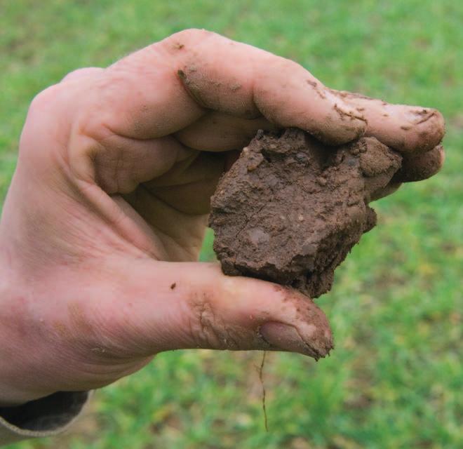 Examining soils in the field the topsoil the topsoil A very firm soil with high packing density and low porosity 6 Assessing the packing density of soil Porosity of soil is affected by the packing