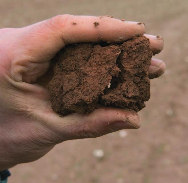 Examining soils in the field the subsoil the subsoil A friable soil cracks under gentle force Assessing the packing density of subsoil Packing density can be estimated by assessing the strength of