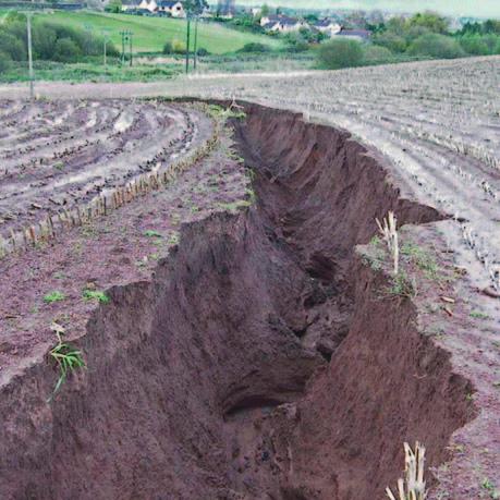 Examining soils in the field the soil surface the soil surface Looking for rill erosion Erosion is a severe form of soil degradation where topsoil is removed by