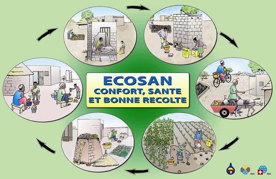 1. What(are(Ecological(Sanitation((Ecosan)(latrines?( Ecosan is an environmentally friendly sanitation technology that allows economic use of human excreta (urine and faeces) after decomposition.