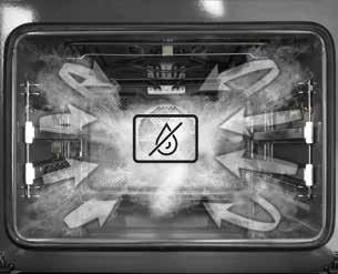 Cyclonic technology creates a mist of completely dry steam that is evenly distributed around the entire oven and the food.