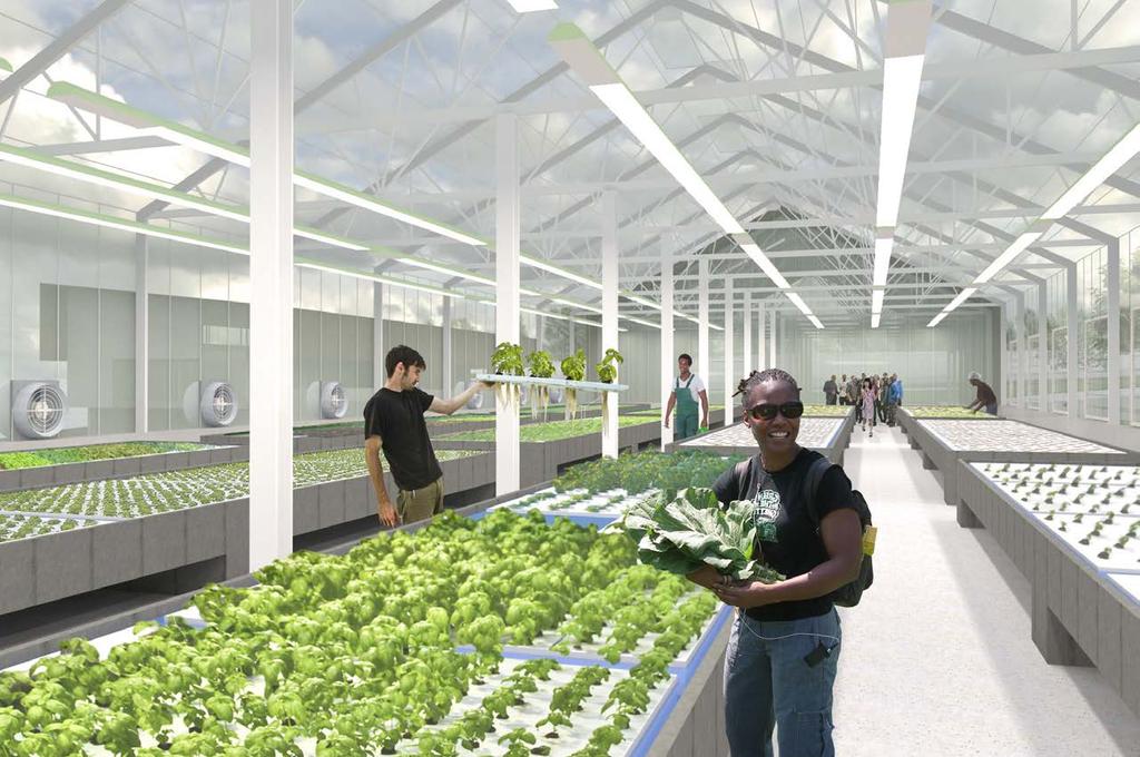 Whispering Roots One of the major anchor tenants, Whispering Roots, provides innovative urban farming programs involving both the public and all levels of education including 2 and 4 year colleges.