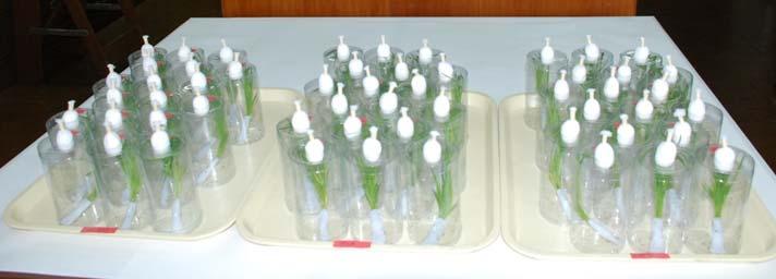 the new batches of test insects with the previous insecticide.