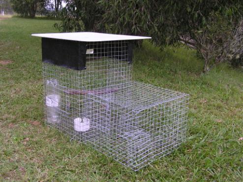 HOW TO BUILD YOUR OWN INDIAN MYNA TRAP Peter Green from the Canberra Indian Myna Action Group designed the Pee Gee s Myna Trap specifically to trap Indian (Common) Mynas and Starlings.