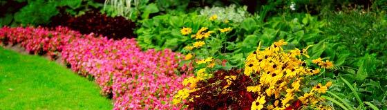 #8 TEND TO YOUR LANDSCAPING The average homeowner spends about $3,502 for