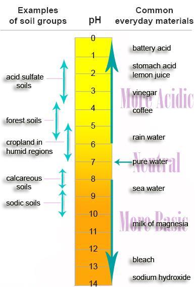 soil acidity: the adverse condition in the soil solution in
