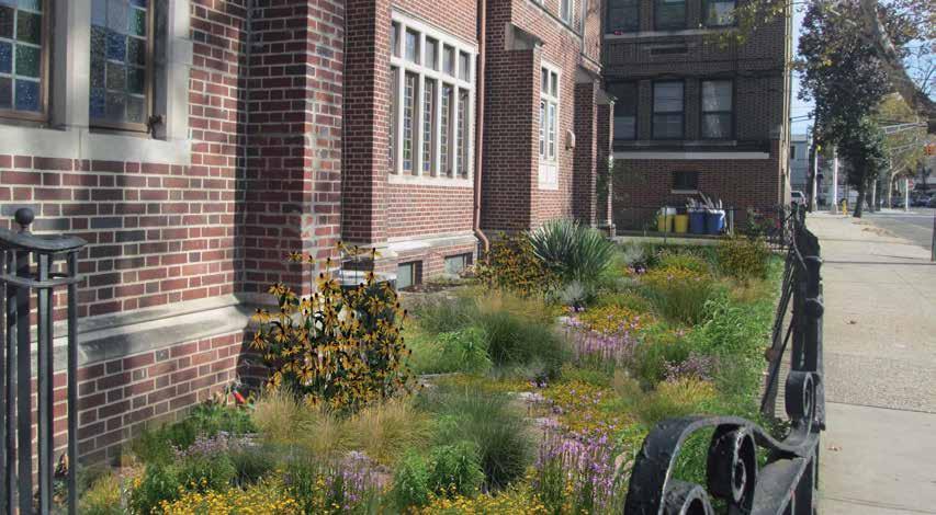 VEGETATED SYSTEM SUITABILITY: EXAMPLE PROJECT SITE 17 Rain gardens are suitable for