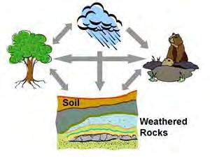 How do soils form?