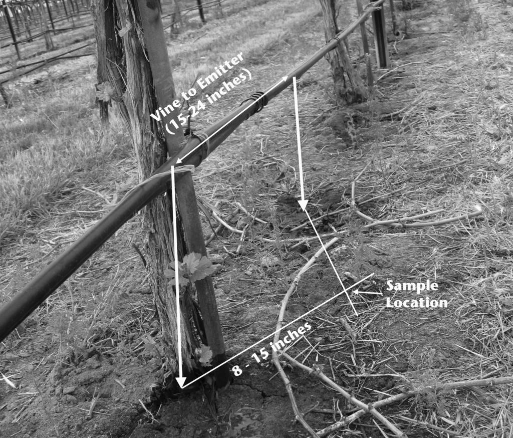 How to Collect Soil Samples for Nutrient Analyses in Vineyards Soil samples that are representative of the area to be planted can be collected randomly throughout the vineyard when the soil is moist